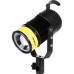 NiceFoto BJ-600B Daylight Zoom LED Monolight